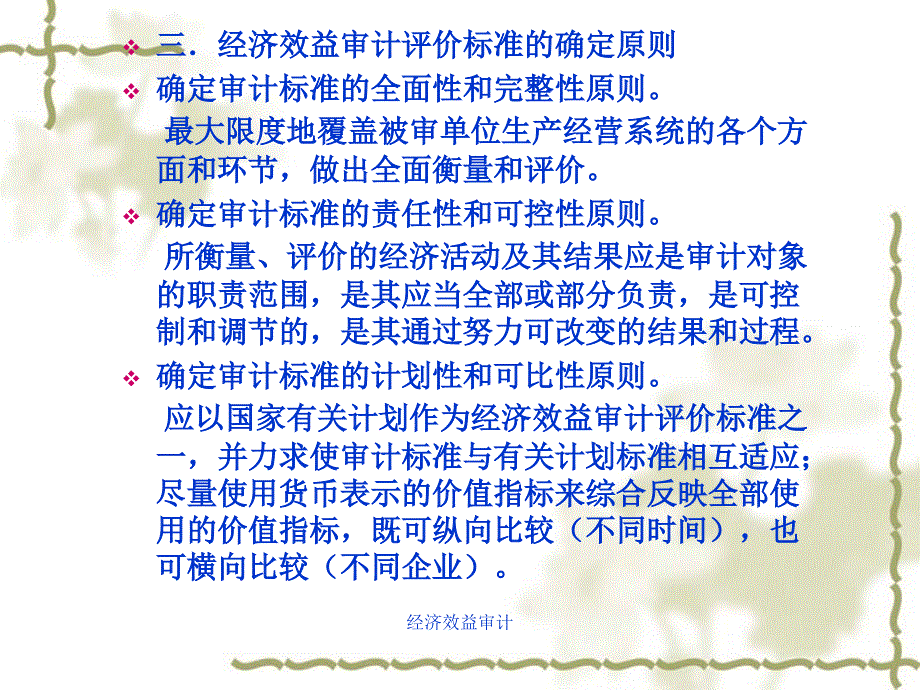 经济效益审计课件_第4页