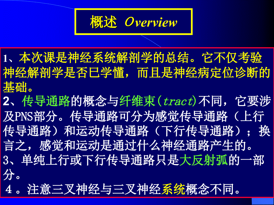 [临床医学]神经传导通路_第2页