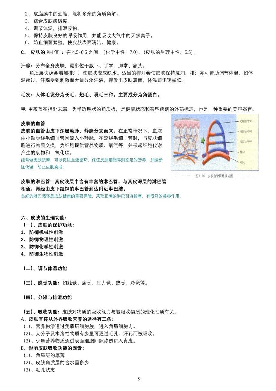 皮肤生理学(2).doc_第5页