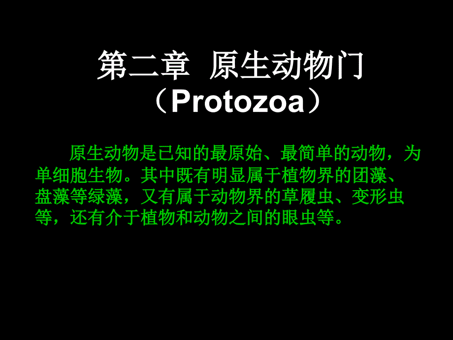 原生动物大全PPT课件_第1页