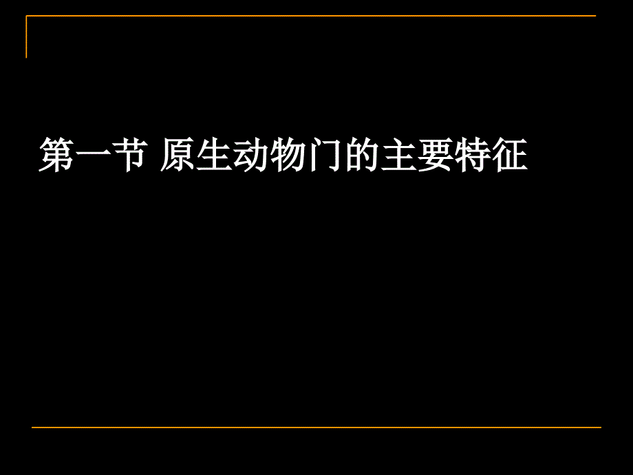 原生动物大全PPT课件_第2页