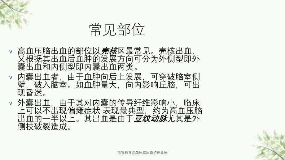 高等教育高血压脑出血护理查房课件_第5页