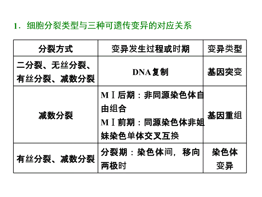 微专题3细胞分裂与生物变异课件_第2页