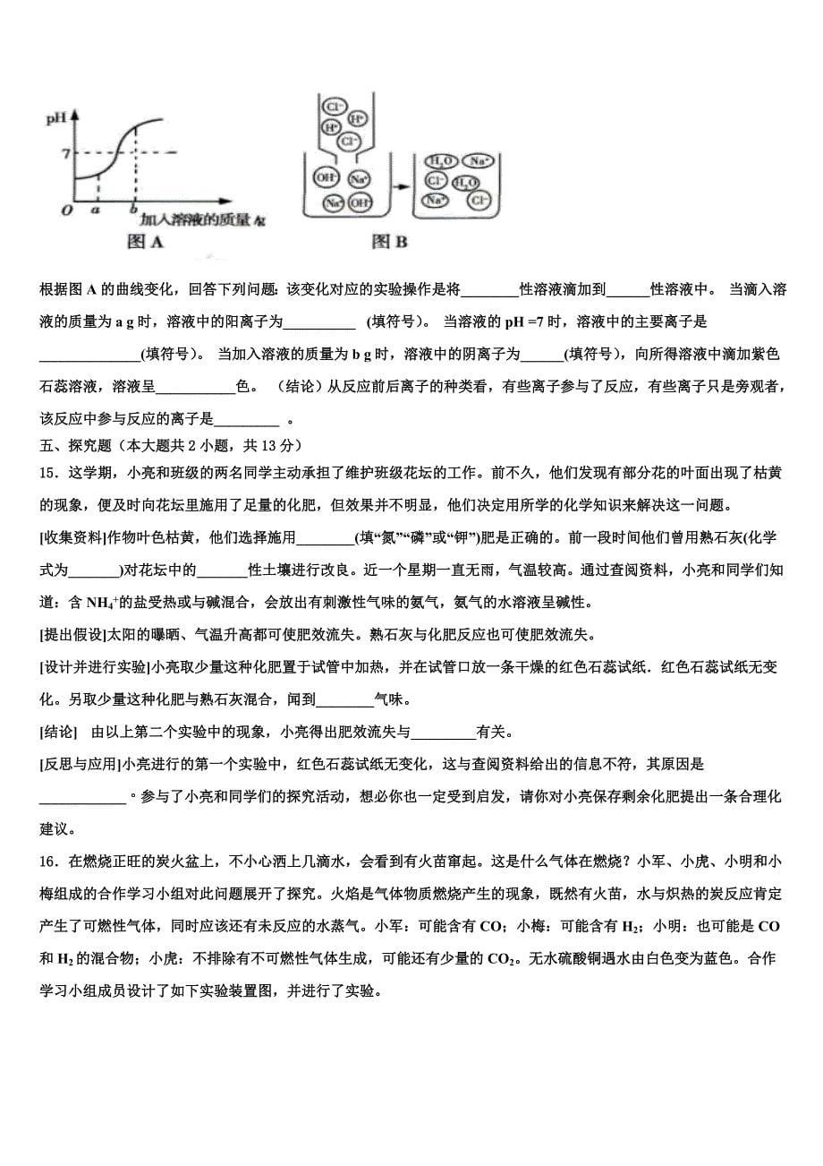 四川省成都市第第十八中学2023年中考化学对点突破模拟试卷含解析.doc_第5页