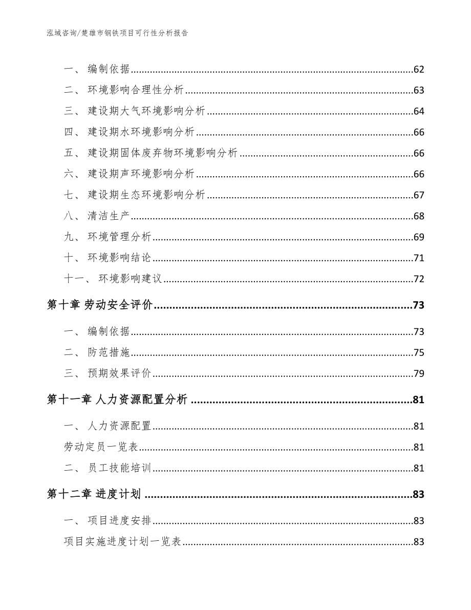 楚雄市钢铁项目可行性分析报告_模板参考_第5页