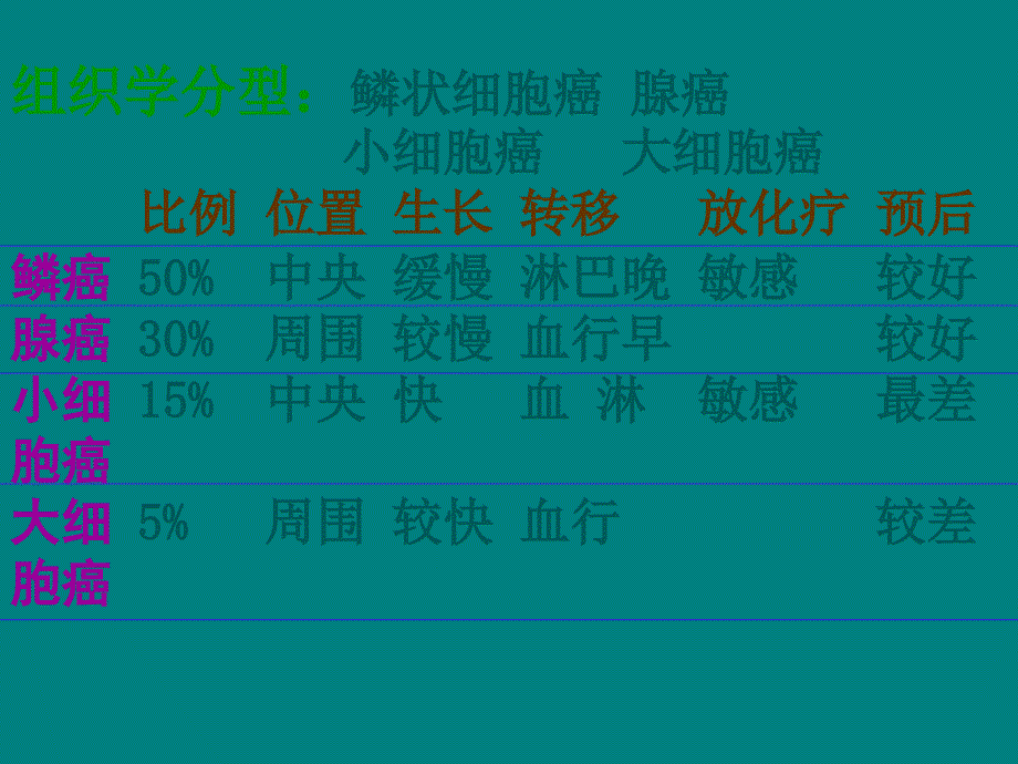 原发性肺癌外科ppt课件_第4页