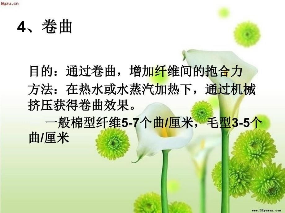 涤纶短纤维后加工生产工艺流程解析_第5页