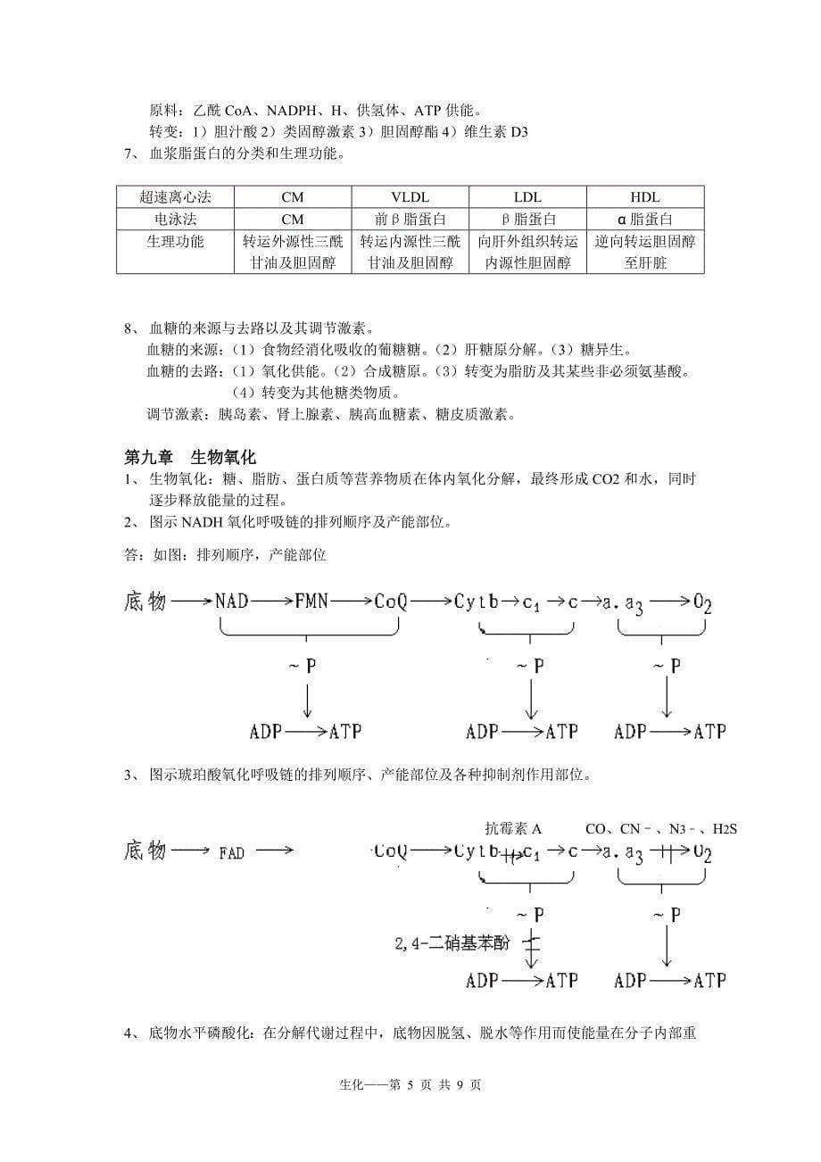 生化期末复习要点.doc_第5页