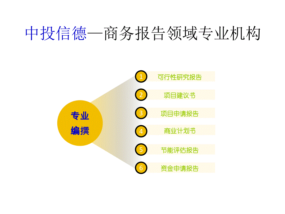 专业编写资金申请报告机构_第2页