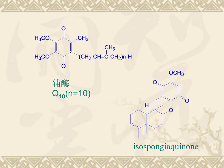 第四章醌类化合物_第3页