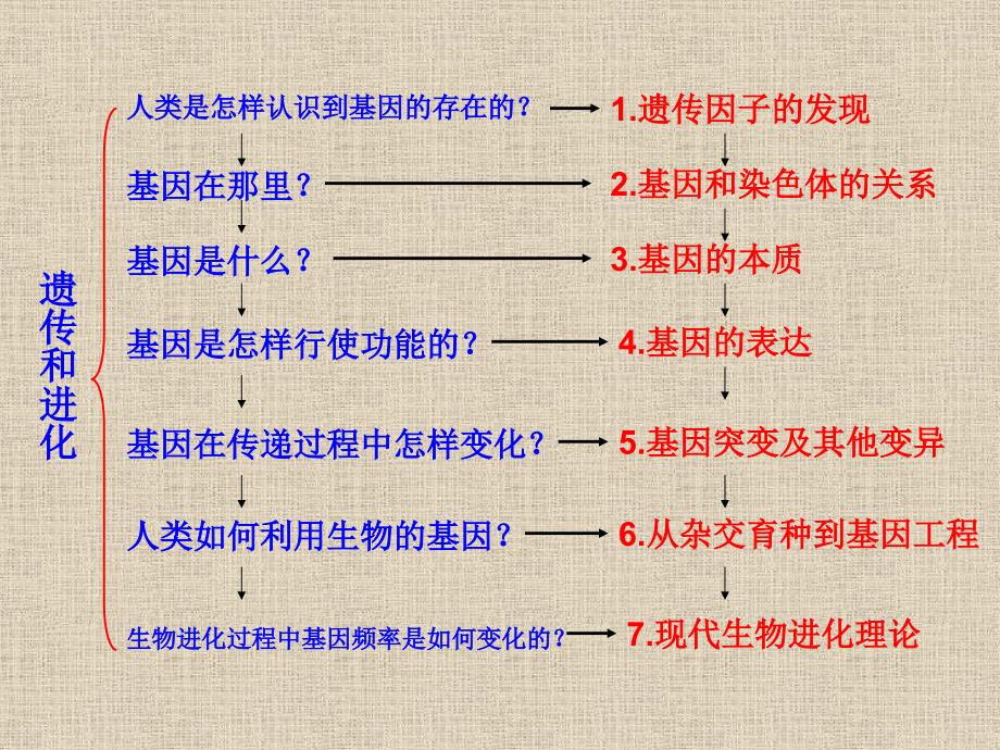 1.1孟德尔的豌豆杂交实验课件11_第1页