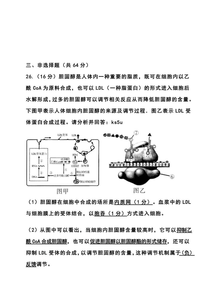 广东省梅州市高三第二学期3月总复习质检理科综合试卷及答案_第5页