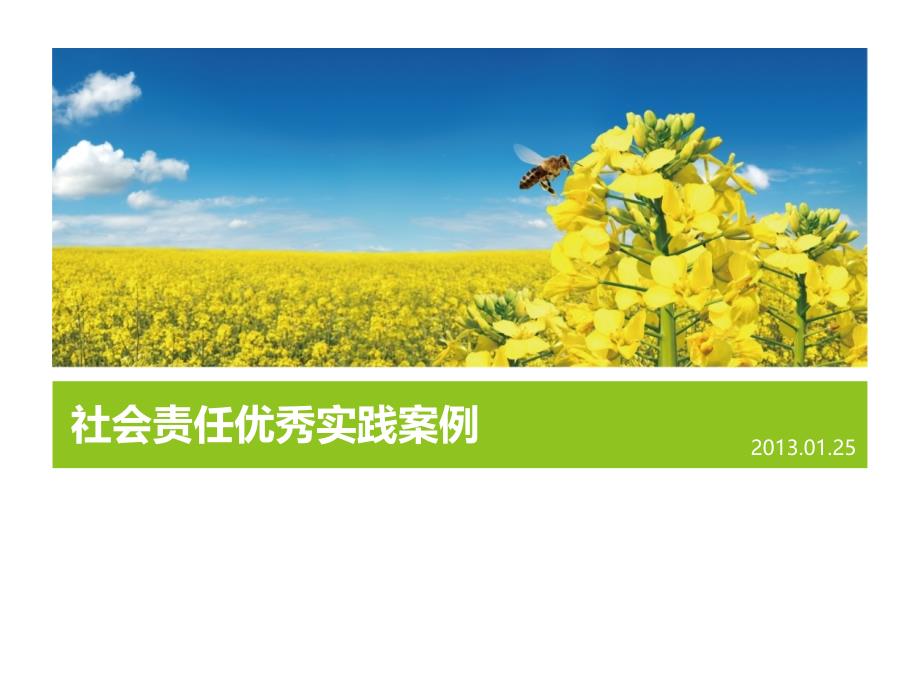 社会责任优秀实践案例课件_第1页