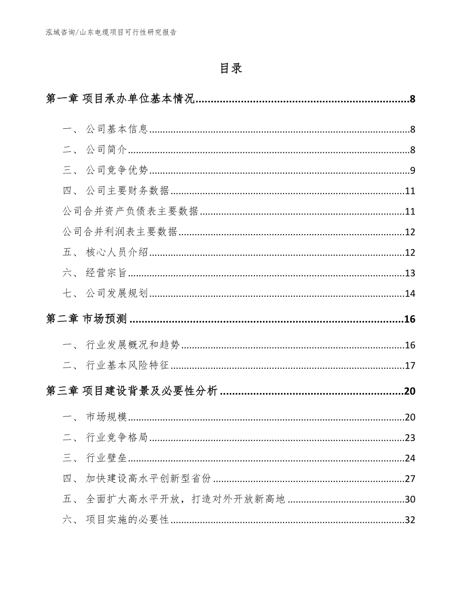 山东电缆项目可行性研究报告_第1页