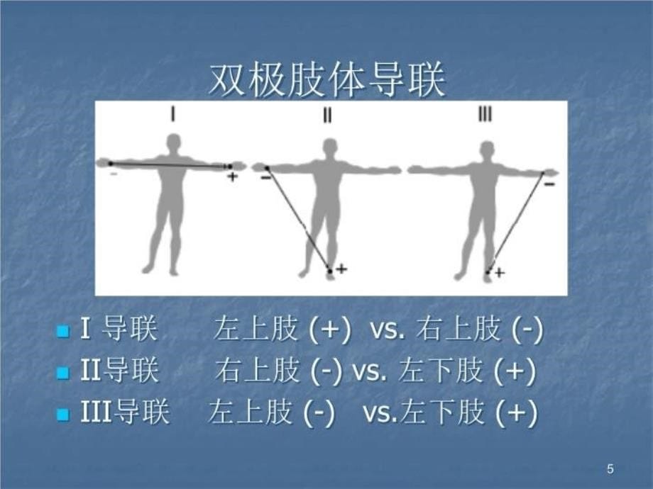 最新心电图导联和PPT课件_第5页