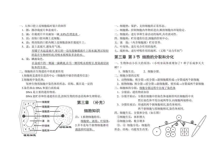 苏教版七年级上册生物复习笔记_第3页