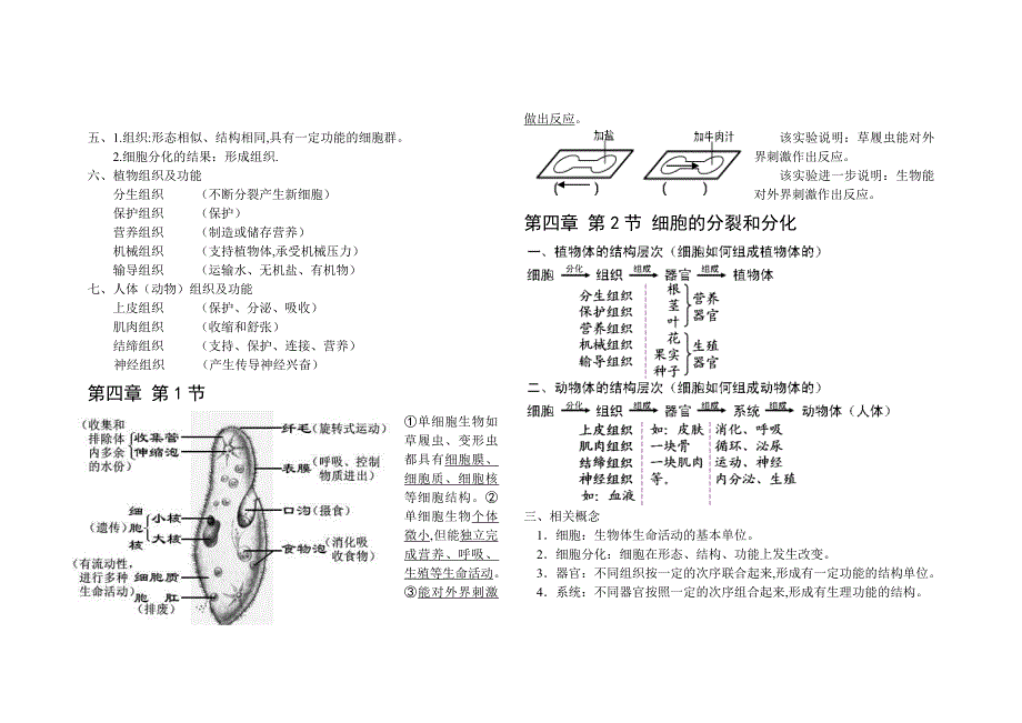 苏教版七年级上册生物复习笔记_第4页
