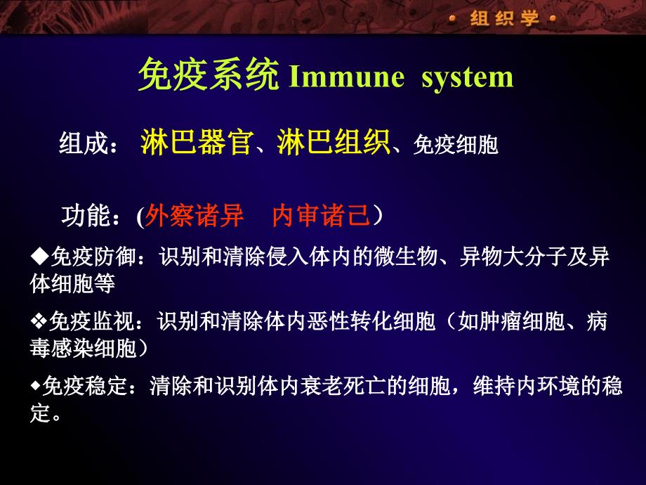 组织学与胚胎学：08免疫系统_第1页