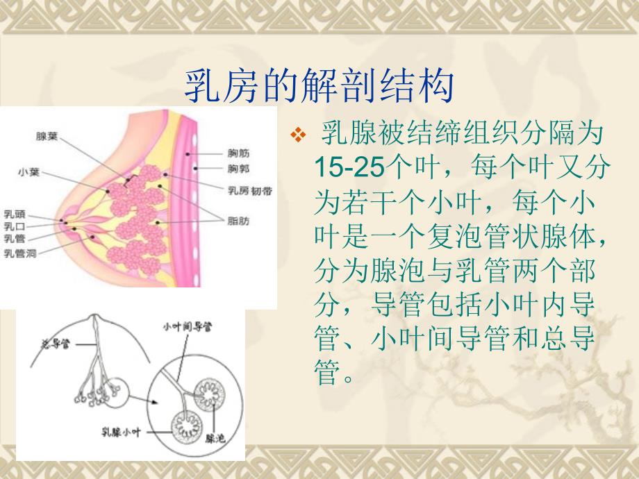 乳腺常见疾病的磁共振诊断_第4页