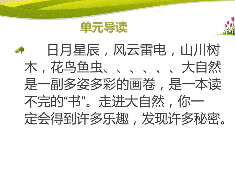 2二下第五单元《大自然我们的“书”》第一课时（基础训练课）_第5页