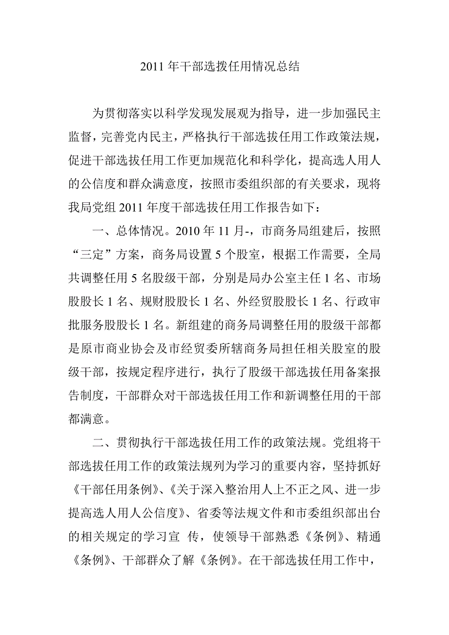 干部选拨任用情况总结_第1页