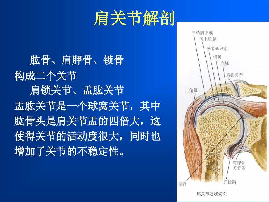 肩袖损伤MRI诊断_第4页