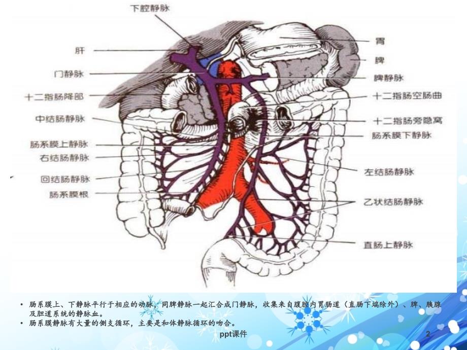 肠系膜静脉血栓形成ppt课件_第2页