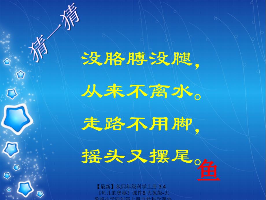 最新四年级科学上册3.4鱼儿的奥秘课件5大象版大象版小学四年级上册自然科学课件_第1页