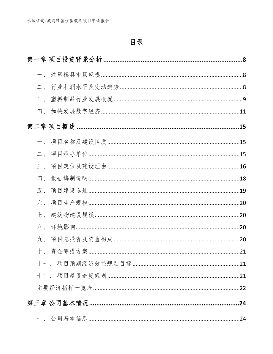 威海精密注塑模具项目申请报告（模板参考）_第1页