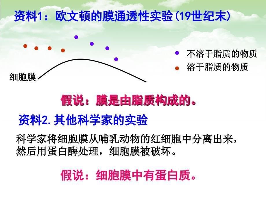 必修一4.2生物膜的流动镶嵌模型_第5页