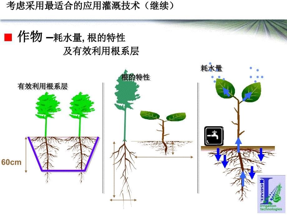 高效益灌溉带来节水灌溉整体技术与专长_第5页