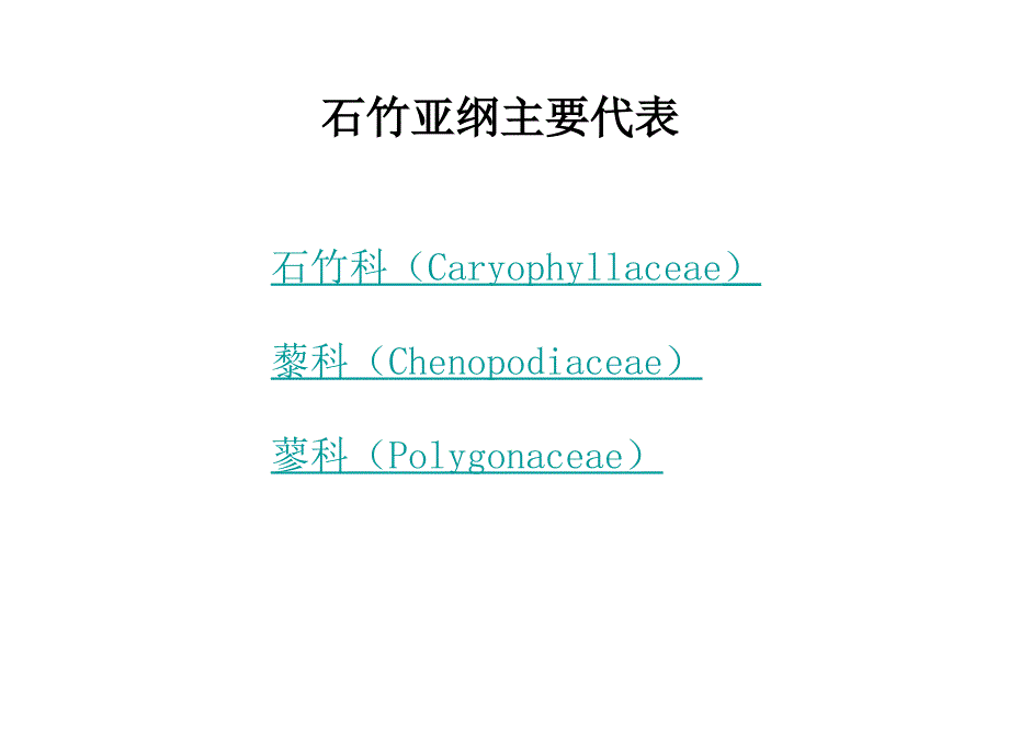 12.4-木兰纲-12.4.3石竹亚纲_第4页