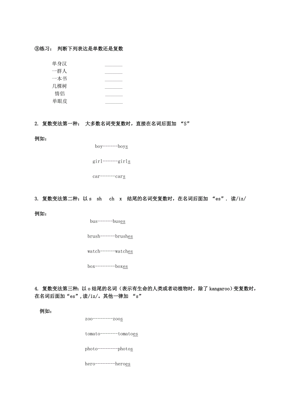 名词单数变复数教案_第3页