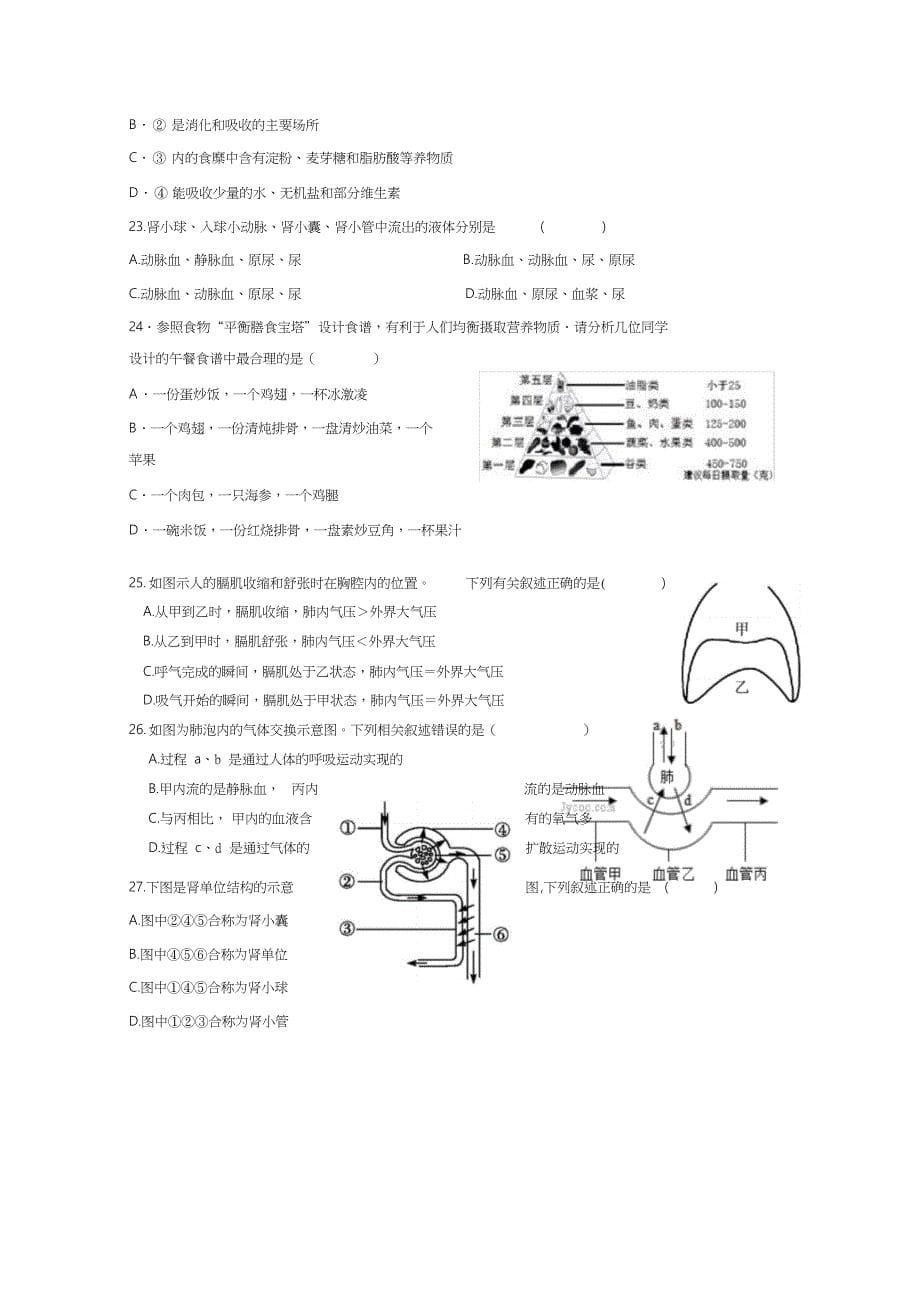 七年级下册生物期中测试题_第5页