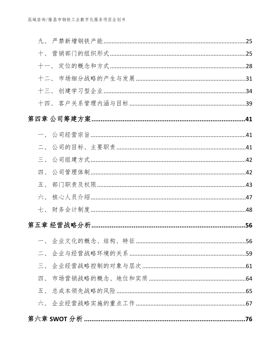 隆昌市钢铁工业数字化服务项目企划书模板参考_第2页