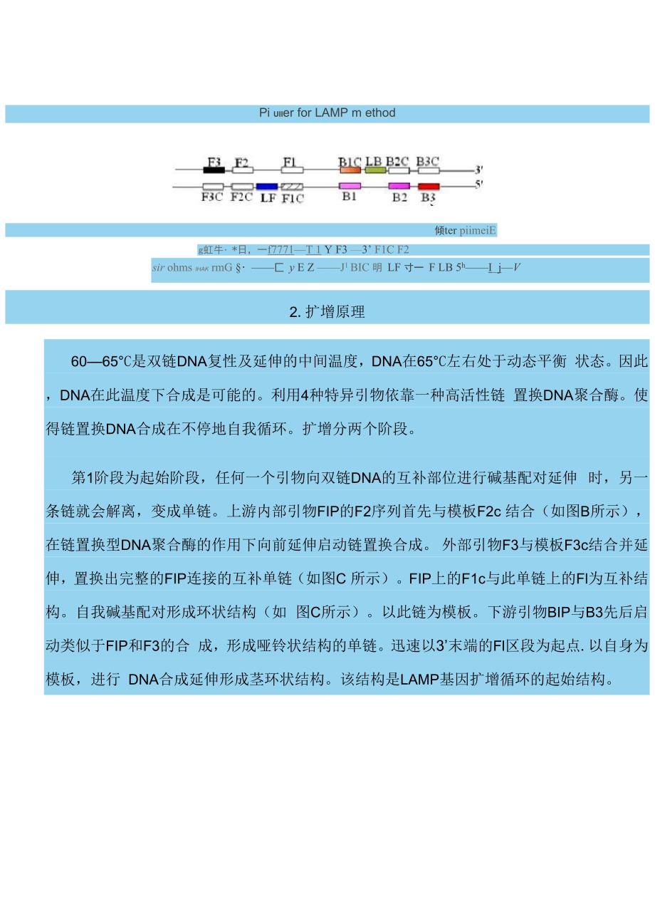 核酸环介导等温扩增技术原理和引物设计和实例_第2页