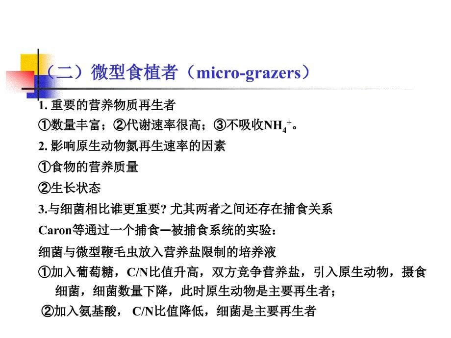 九章海洋生态系统的分解作用与生物地化循环_第5页