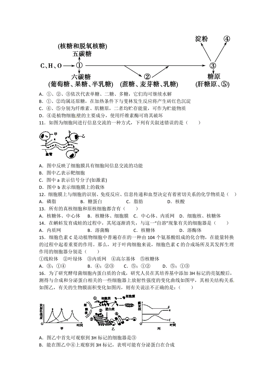 江西省临川市第一中学2014-2015学年高一生物上学期期末考试试题_第2页