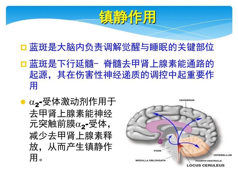 右旋美托嘧啶顾小萍_第5页