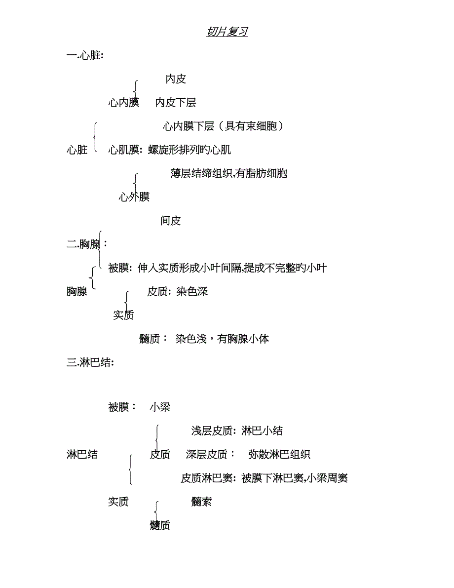 组织学切片结构_第1页