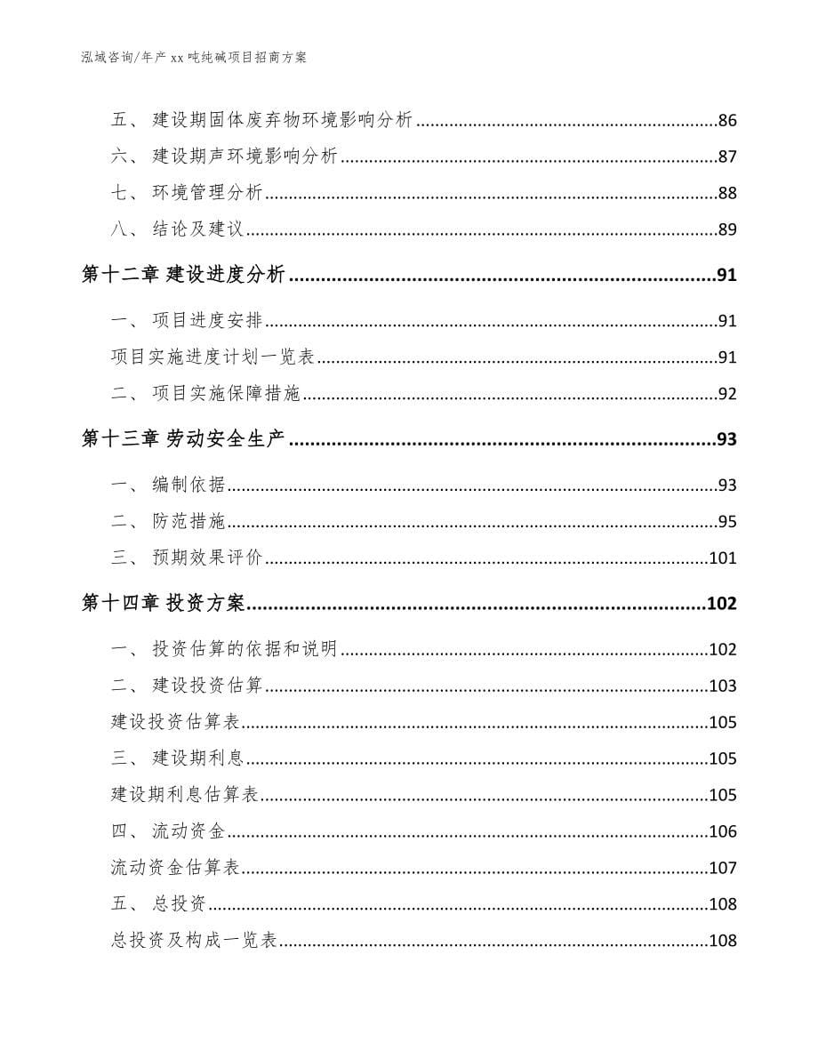 年产xx吨纯碱项目招商方案（范文）_第5页