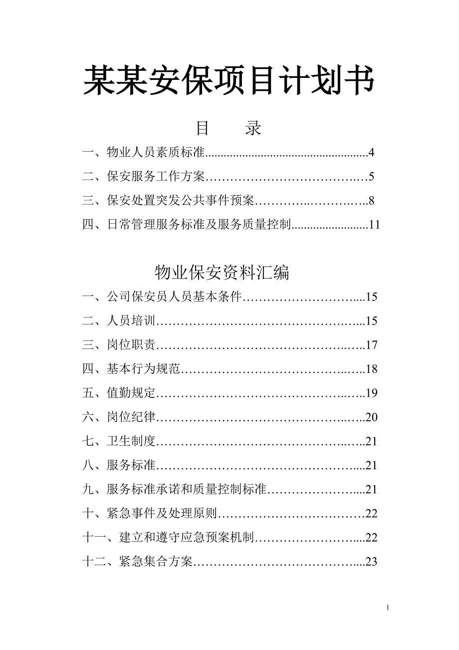 某某安保项目计划书_第1页