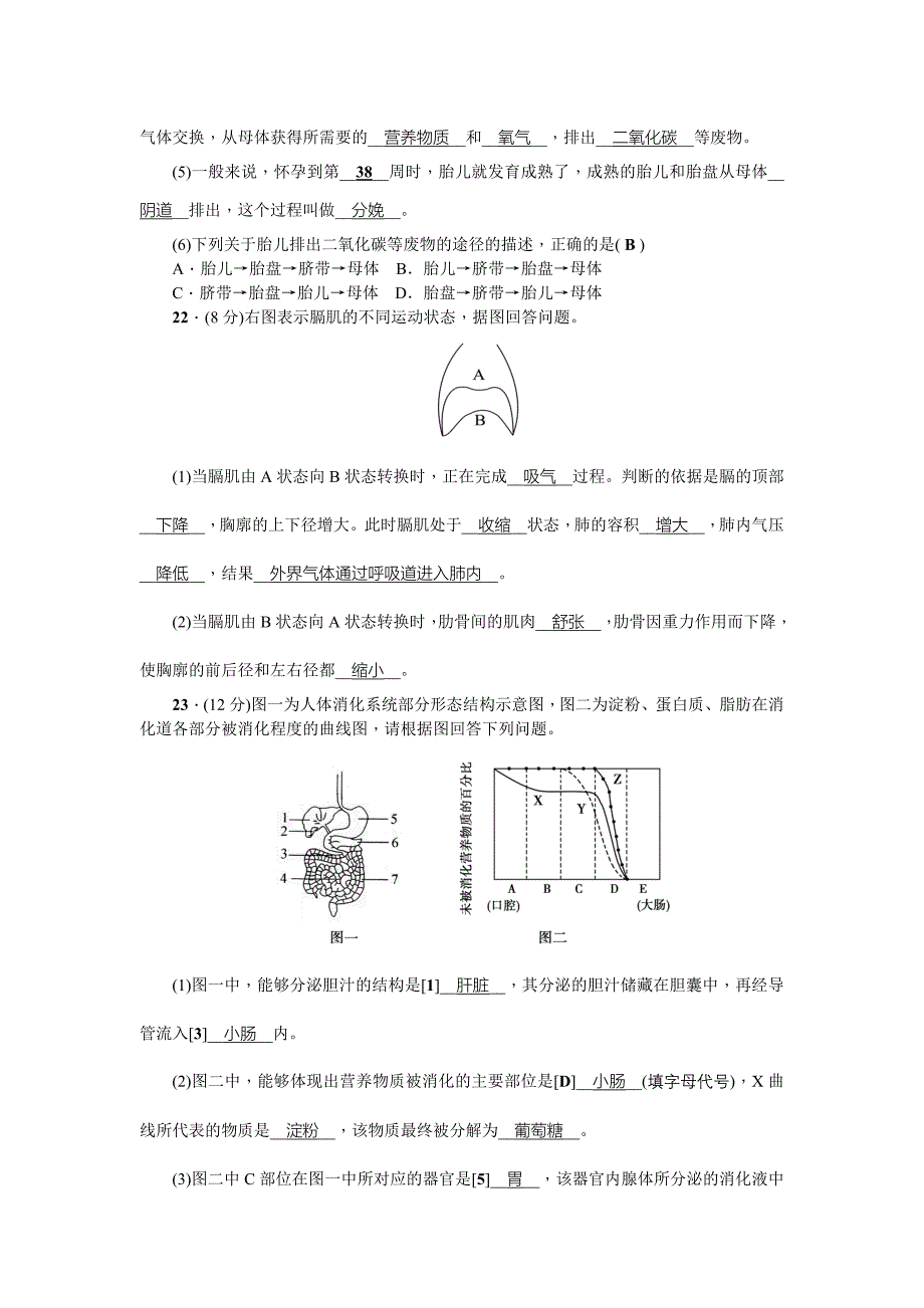 2020-2021年人教版七年级下册生物期中测试卷_第4页