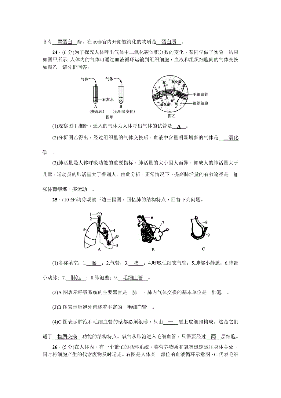 2020-2021年人教版七年级下册生物期中测试卷_第5页