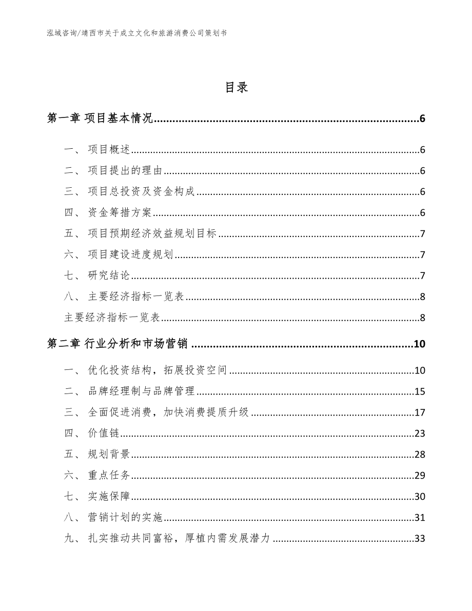 靖西市关于成立文化和旅游消费公司策划书_模板_第2页