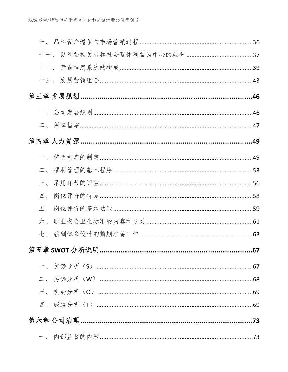 靖西市关于成立文化和旅游消费公司策划书_模板_第3页