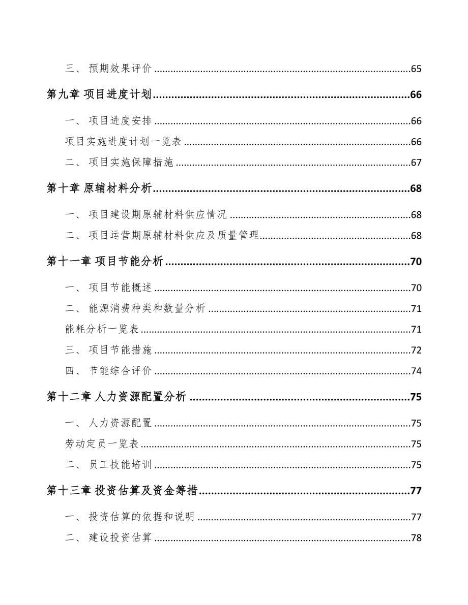 珠海永磁直流电机项目可行性研究报告范文模板(DOC 79页)_第5页