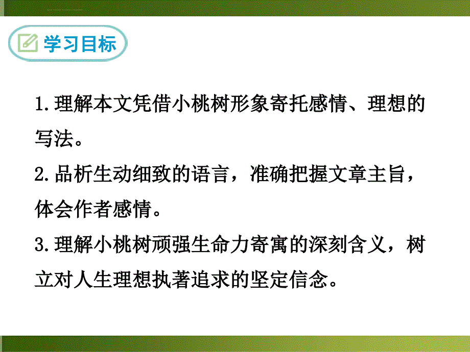 一棵小桃树ppt优秀课件_第2页