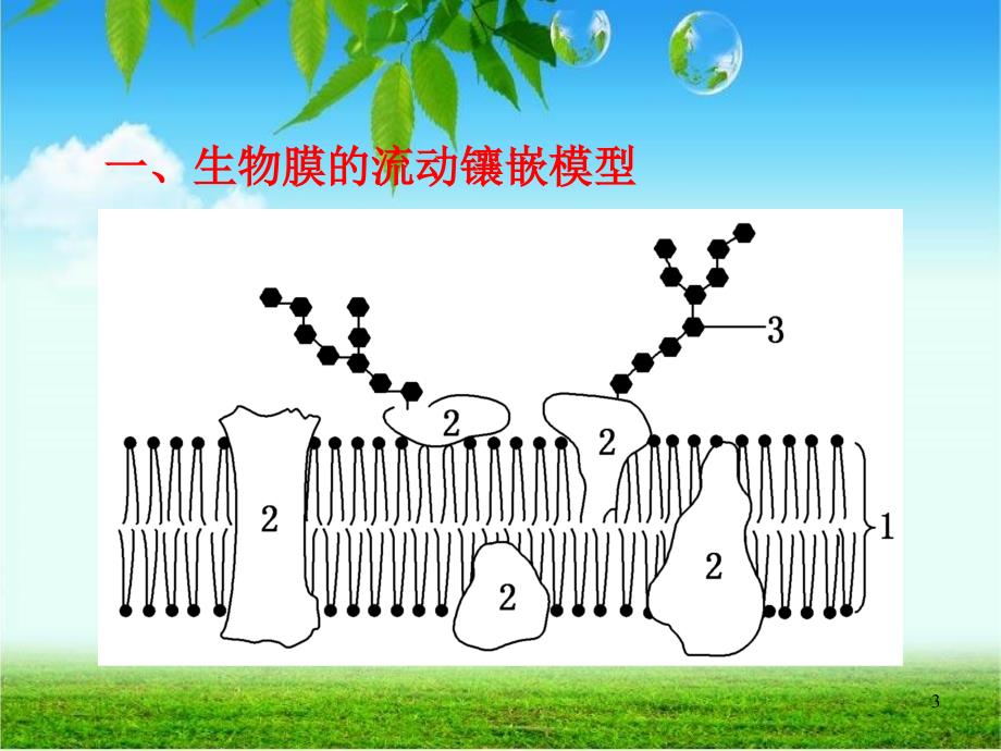 生物膜的流动镶嵌模型物质跨膜运输的方式_第3页