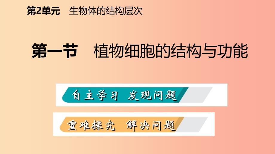 2019年七年级生物上册第二单元第三章第一节植物细胞的结构与功能课件新版苏教版.ppt_第2页